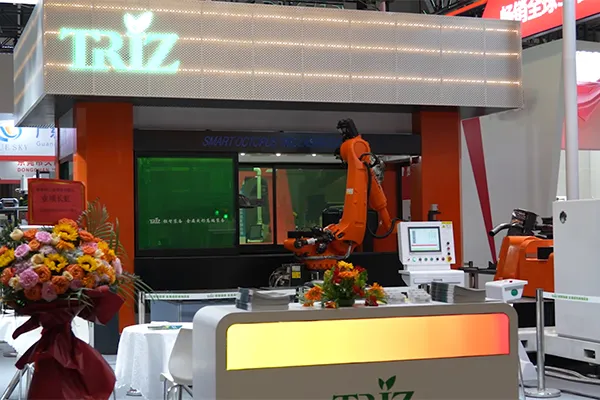 Mesin Pemotong Laser 3D 16-Sumbu Stasiun Ganda